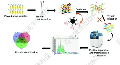 尿液蛋白质组学