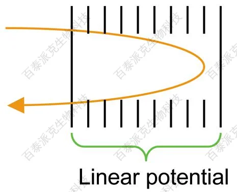 20221219-4863-一个反射。图片来源维基百科.png