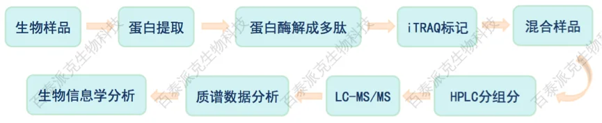 20221219-5096-iTRAQ分析流程示意图.png