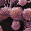 特异性皮炎细胞因子检测