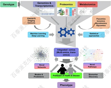 20221219-5445-多组学分析示意图2.png