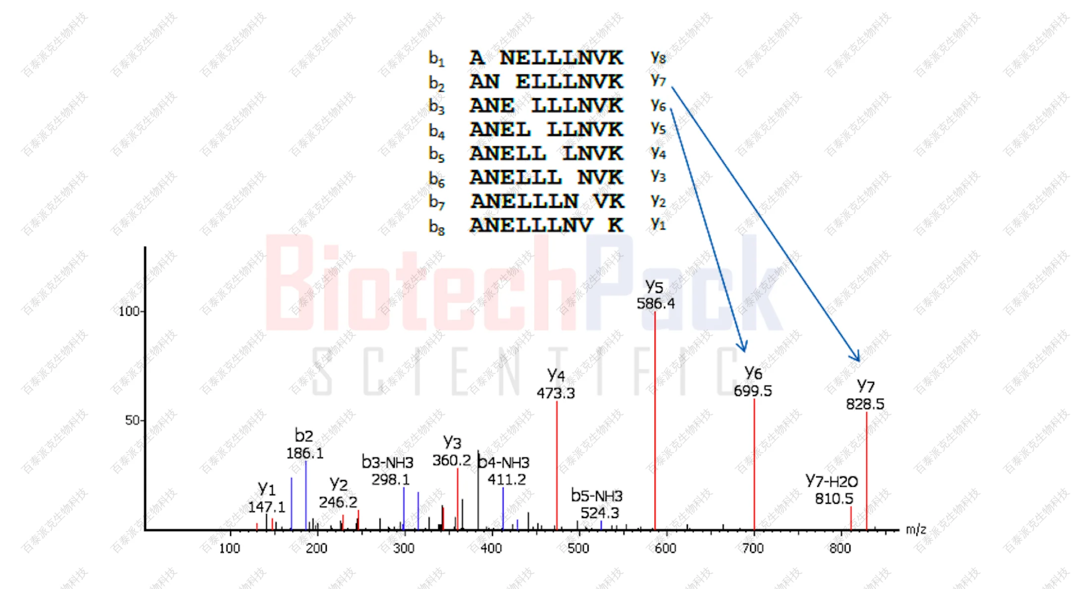 20221219-5531-多肽从头测序高质量光谱理论碎片离子示意图.png