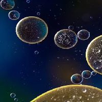 20221219-5586-脂质组学.png
