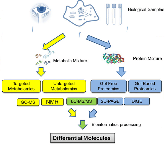 蛋白质组学和代谢组学整合分析流程