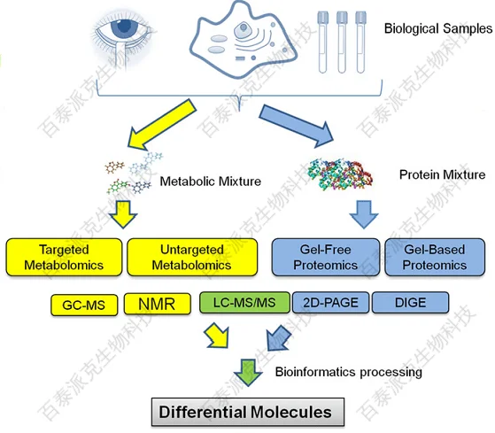 20221219-5587-蛋白质组学和代谢组学整合分析流程.png