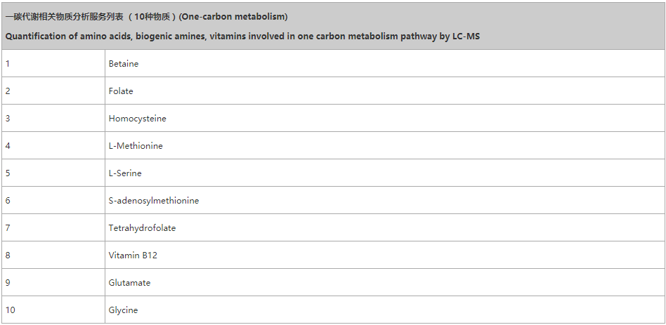 一碳代谢相关物质分析服务列表1