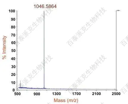 20221219-5920-分子量测定研究案例.jpg