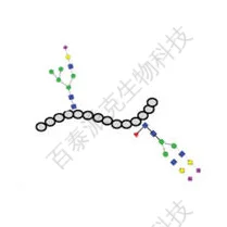 20221219-6025-糖蛋白组学定量分析.png