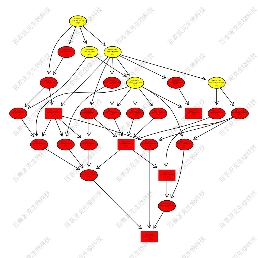 20221219-6056-差异表达蛋白topGO富集有向无环图.png