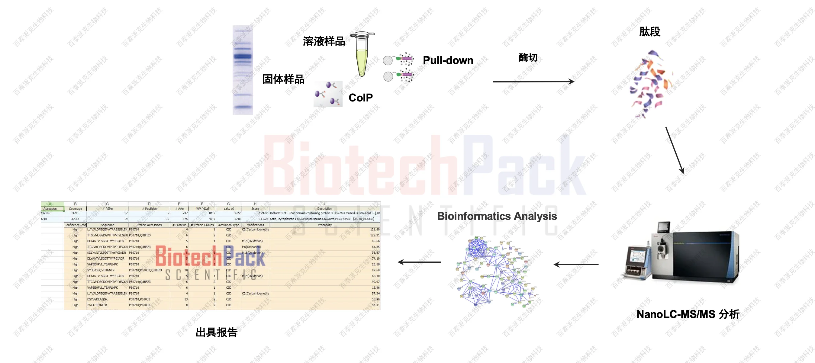 20221219-6509-百泰派克蛋白质相互作用质谱分析.png