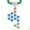 20221219-6533-ab-glycoprotein-analysis2.png