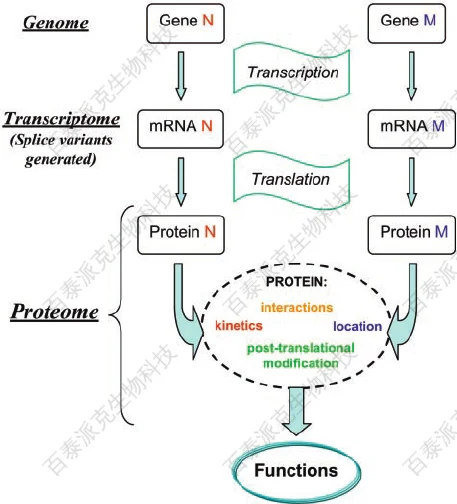 20221219-6544-基因组学蛋白质组学转录组学.png