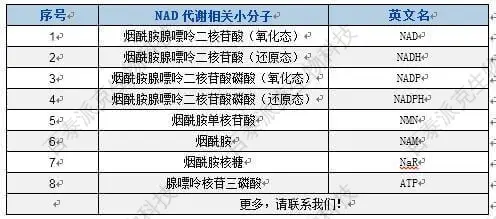 20221219-6727-BTP可检测NAD代谢相关小分子.jpg