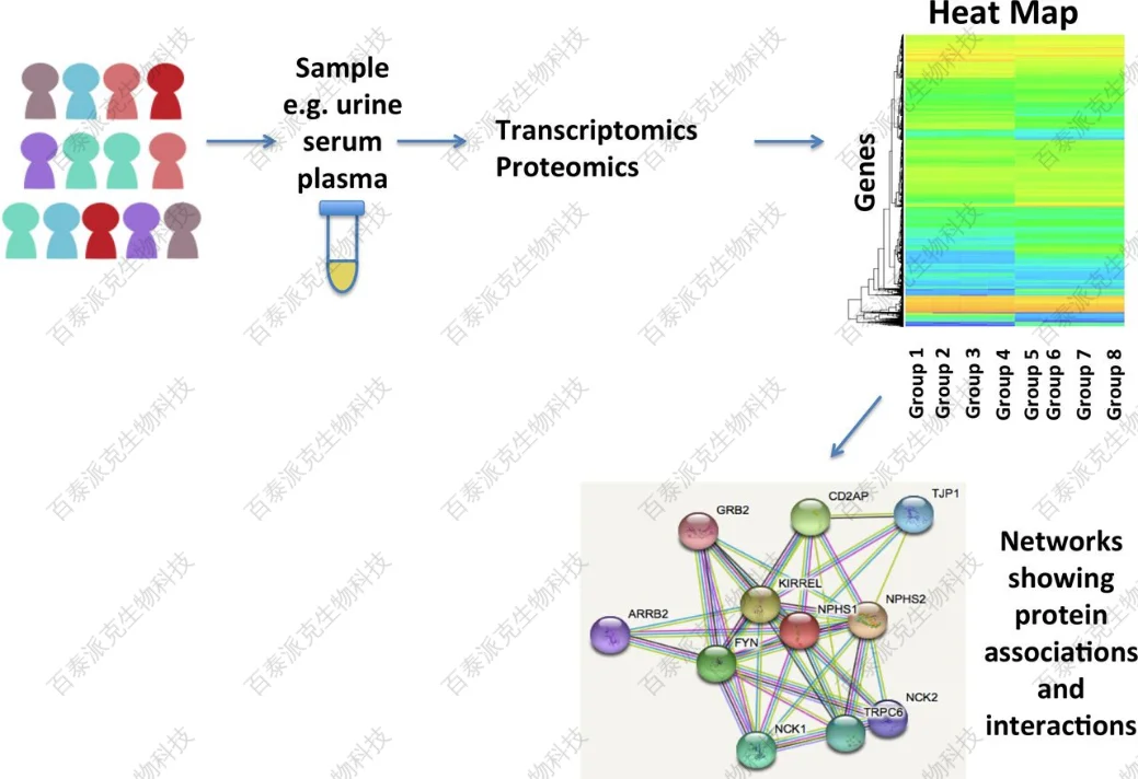 转录组学和蛋白质组学整合分析流程