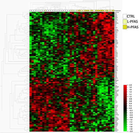 20221219-7343-暴露于L-PFAS和H-PFAS与对照的鳕鱼肝脏中差异最大的蛋白质的双向分层聚类.png