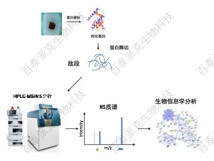 20221219-7354-石蜡包埋样品蛋白质组学.png