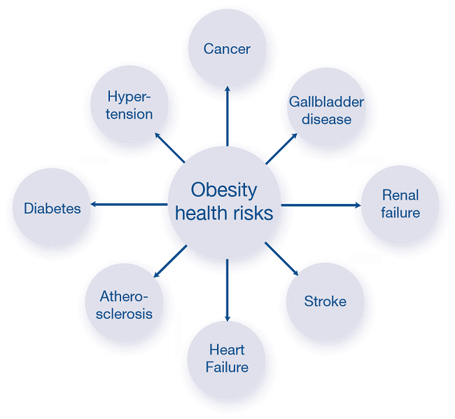 Obesity肥胖相关免疫因子－流式细胞因子检测