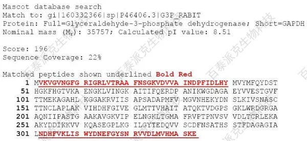 20221219-7619-基于PeptideMapping的蛋白N端和C端测序研究案例.jpg