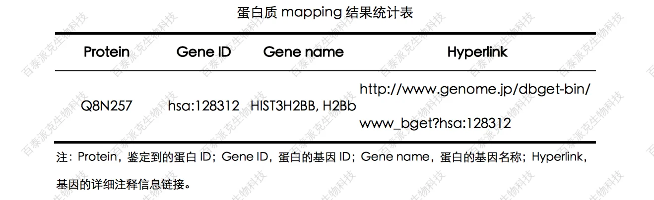 20221219-7710-蛋白质mapping结果统计表.png