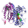 20221219-7920-abproteomicsservice1.png