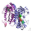 20221219-7920-abproteomicsservice1.png