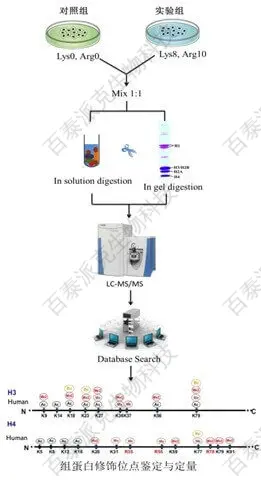 20221219-8056-组蛋白翻译后修饰鉴定研究路线.jpg