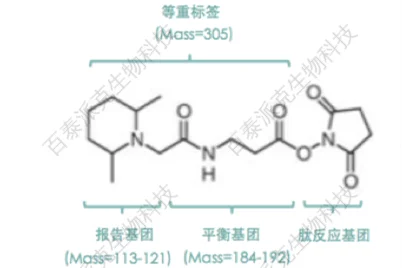 20221219-8766-TMT蛋白组学.png