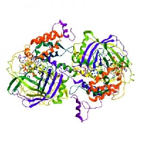 蛋白质与蛋白质组学