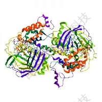 20221219-8794-蛋白质与蛋白质组学.png
