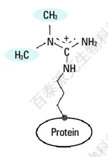 20221219-8963-植物蛋白质组学甲基化修饰.png