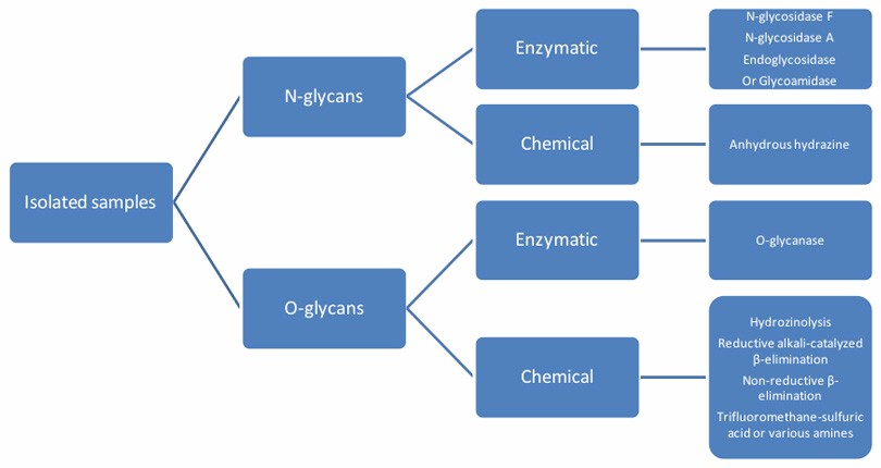 百泰派克生物科技糖分析中样品制备的一般流程