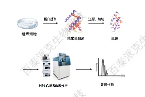 20221219-9086-鸟枪法蛋白组学.png