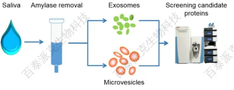 20221219-9219-外泌体蛋白质组学1.png