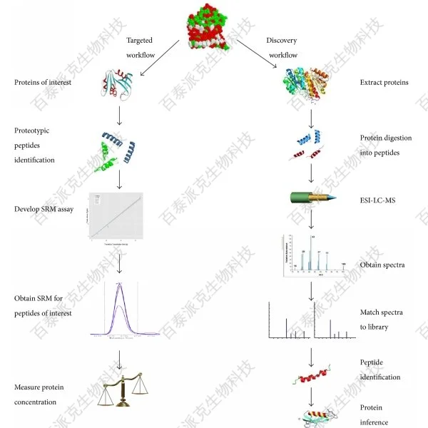 20221219-9226-发现蛋白质组学和靶向蛋白质组学的区别.png