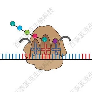 20221219-9585-基因组学与蛋白质组学.png