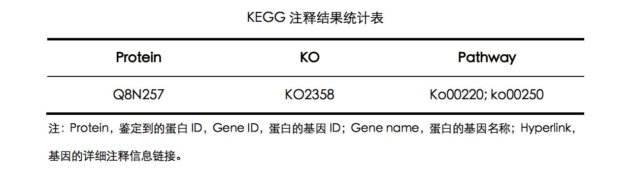 20221219-9775-KEGG注释结果统计表.png