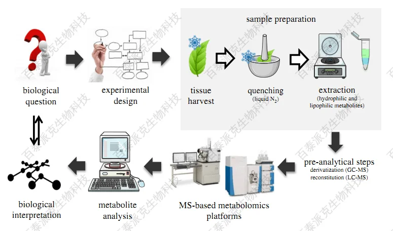 20221219-9780-植物代谢组研究路线.png