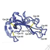 20221219-9791-ab-生物药二硫键.png
