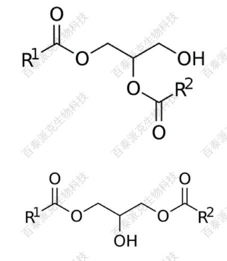 20221219-9825-二酰甘油上和1，3-二酰甘油下.png