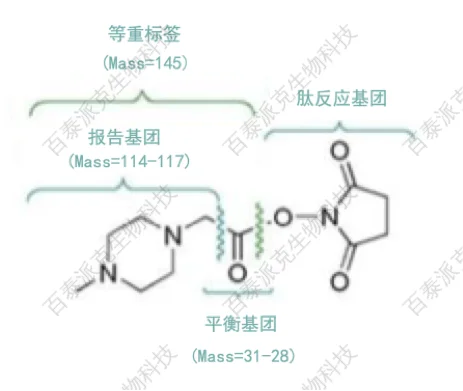 20221219-9828-iTRAQ4-plex标签结构.png