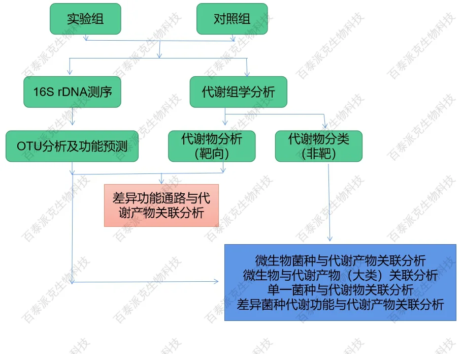 20221219-9905-代谢组与16SrDNA测序整合分析流程.png