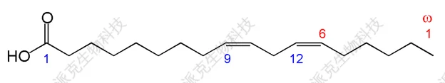 20221219-9935-ω-6脂肪酸亚油酸.png
