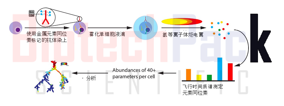 单细胞质谱流式技术