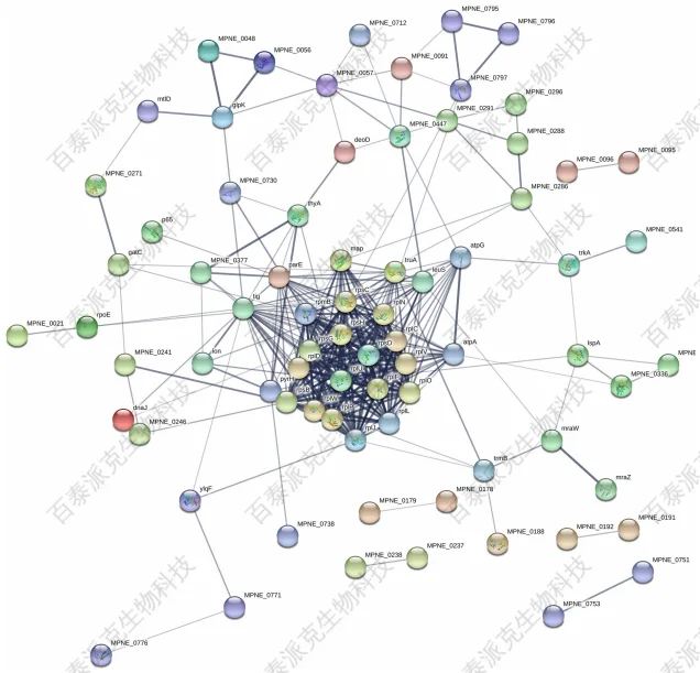 20230310-1591-mceu_1961493721551678441621263.png