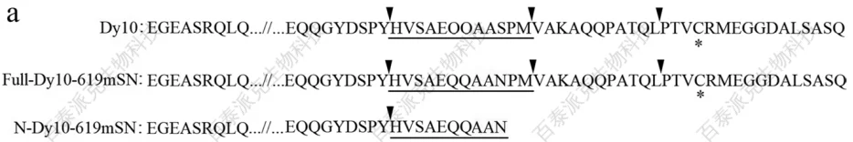 20230310-5765-mceu_463046628811678438892563.png