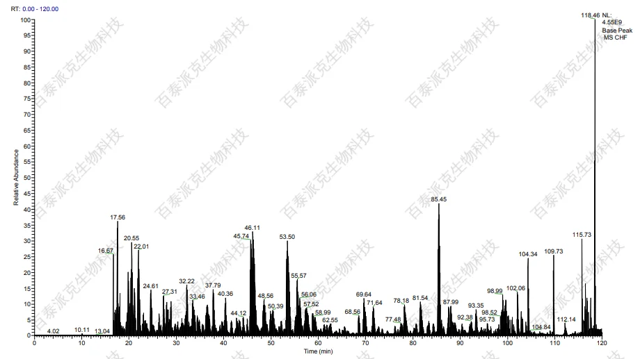 20230310-9199-mceu_496542947461678436236872.png